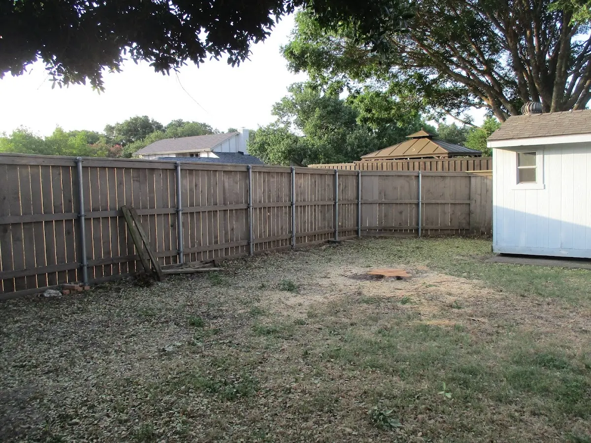 Cleared yard after professional tree removal in Elkland